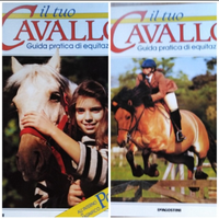7 fascicoli su cavalli ed equitazione