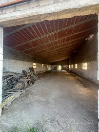 Capannoni di diverse dimensioni e utilizzi