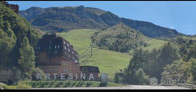 Monolocale Artesina
