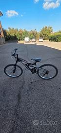 bicicletta 24