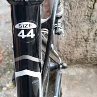 Bici da donna