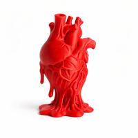 🫀 Cuore Anatomico - Decorazione