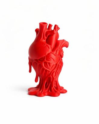 🫀 Cuore Anatomico - Decorazione