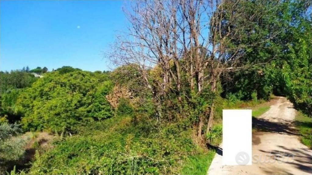 Immobile in asta di 13593 m² a Velletri - Vista 2