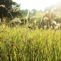 Moso in Passiria: Maso chiuso