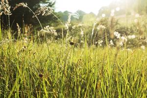 Moso in Passiria: Maso chiuso