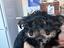 Immagine 1
