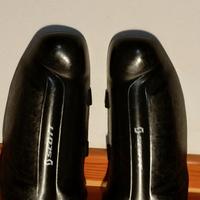 Parastinchi da sci Scott