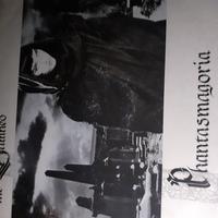 vinile 33 giri The Damned, Phantasmagoria, 1985