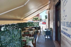 ATTIVITÀ A BISCEGLIE