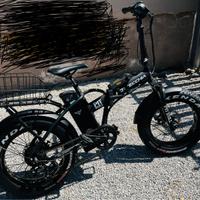 Bicicletta elettrica