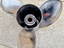 Immagine 3