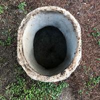 Vaso / Sedia (4 pz) in cemento da giardino H35cm