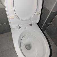 Set bidet e Wc Pozzi Ginori