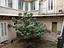 Immagine 14