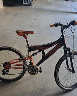 Bici Lombardo