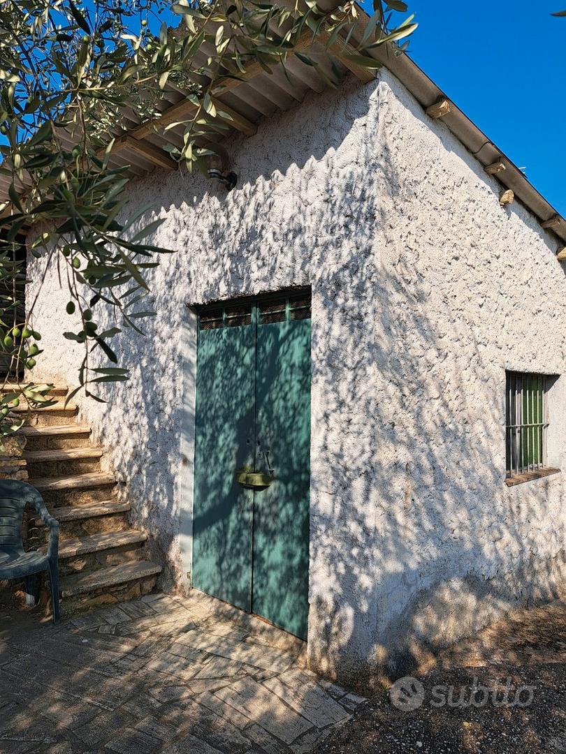 Terreno agricolo con casaletto - Vista 4