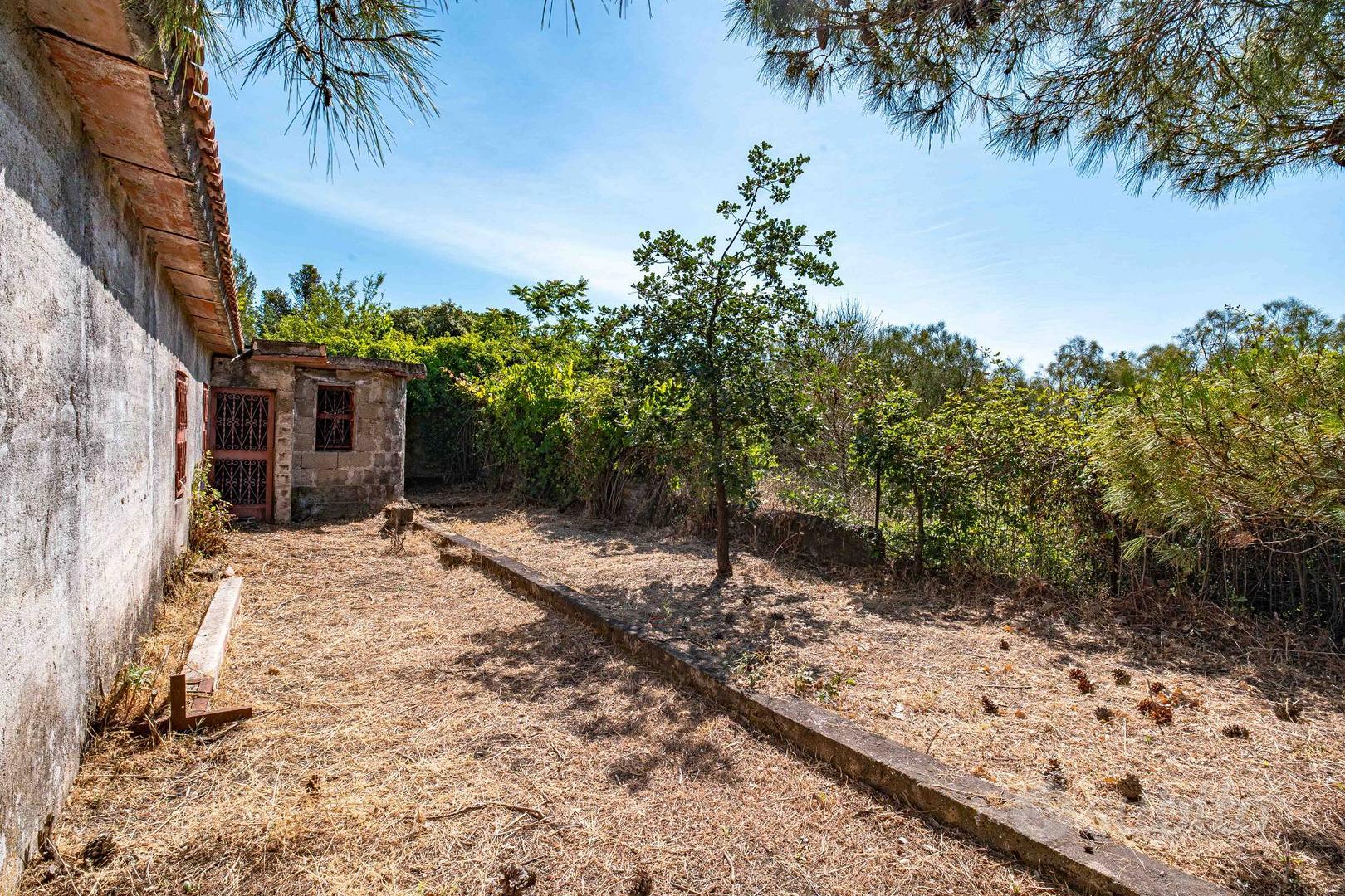 Casa – Pedara, Tarderia - Vista 3