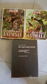 Brehm - Nel regno degli animali - 1969
