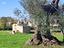 Immagine 30