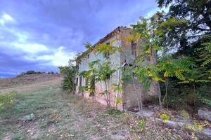 CASA COLONICA con TERRENO E ANNESSO AGRICOLO