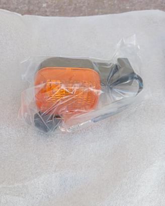 Indicatore di direzione posteriore sx originale BM