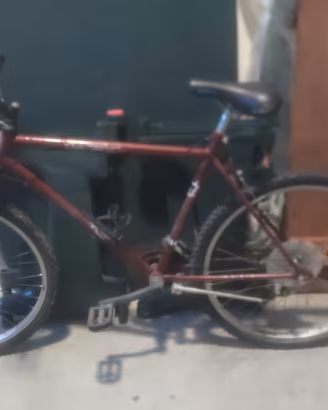 bicicletta 