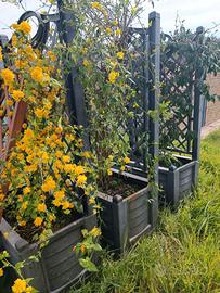 Fioriere da giardino o balcone
