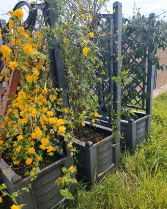 Fioriere da giardino o balcone