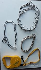 Accessori per cani