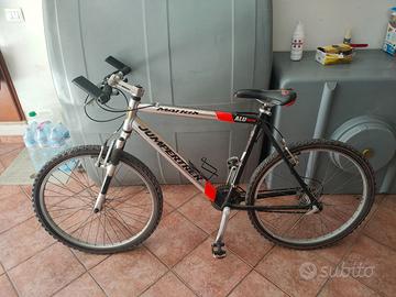 Mountain bike 24 rapporti