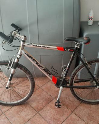 Mountain bike 24 rapporti