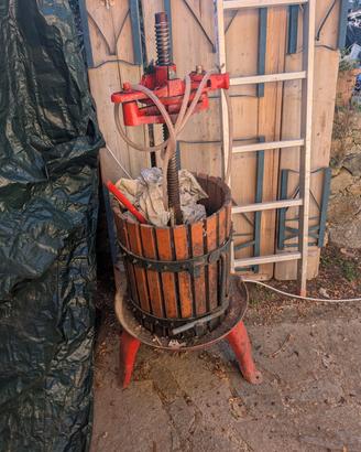 Torchio per uva