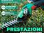 Immagine 6