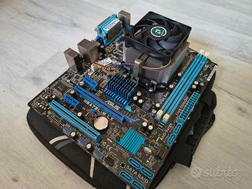 Scheda Madre Asus M5A78L M LX + processore AMD