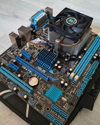 Scheda Madre Asus M5A78L M LX + processore AMD