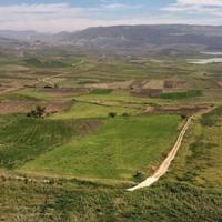 Terreno di 100 ettari a Santa Margherita di Belice
