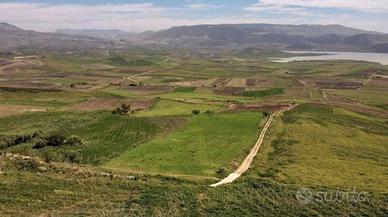 Terreno di 100 ettari a Santa Margherita di Belice