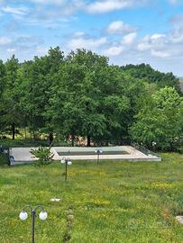 Trilocale ristrutturato con terrazza e piscina