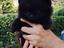 Immagine 3