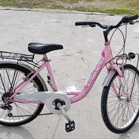bicicletta bimba Alpina 24
