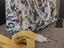 Immagine 5