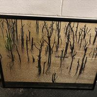 Due stampe incorniciate vetro