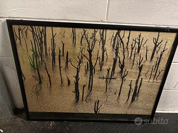 Due stampe incorniciate vetro