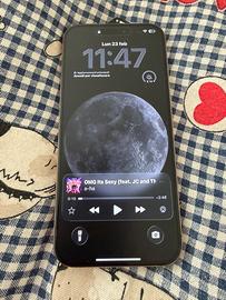 Iphone 16 pro max  256 gb batteria al 100%