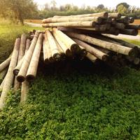 Pali in legno per recinzione, vigna.  100pz stock