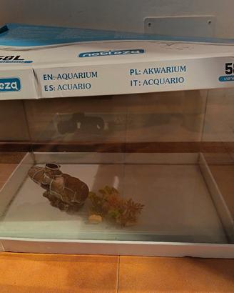 acquario 