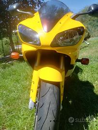 YAMAHA YZF-R1 Anno 2001