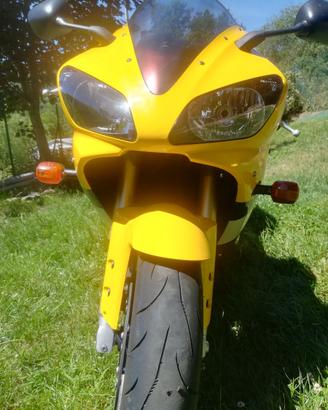 YAMAHA YZF-R1 Anno 2001
