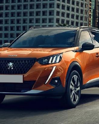 Ricambi usati peugeot 2008 2019 #z